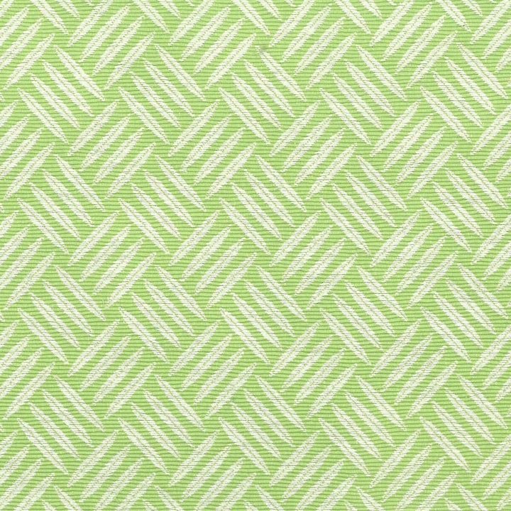 Panama 1 Dill by Stout Fabric RAINBOW LIBRARY GRAPE/PEAR 55%COT 45%POL TAIWAN WYZENBEEK 50 000 DOUBLE RUB WEAR TEST (HEAVY DUTY) </p><p>Repeat: 1.25 54 in - Fabric Carolina -