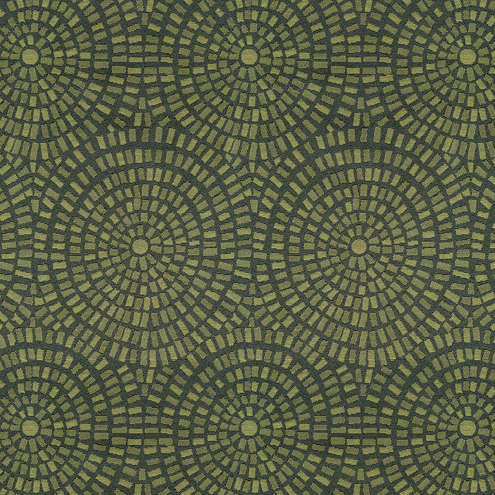 Panache 205 Limelight by Crypton Fabric 77% Polyester, 15% Recycled Post Industrial Polyester, 8% Recycled Post Consumer Polyester US 100,000 Double Rubs (Wyzenbeek) </p><p>Repeat: Horizontal: 12.7" (32.3 cm) Up the Roll and Vertical: 7.5" (19.1 cm) Across the Roll 55" (140 cm) - Fabric Carolina -