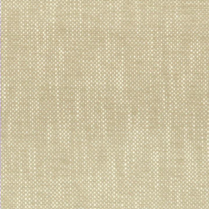 Panic 1 Champagne by Stout Fabric LIVING IS EASY SALT/SANDSTONE 100%UV USA PERFORMANCE RATED FABRIC FLAME RETARDANT-U.F.A.C. CLASS 1 CATB 117-2013 WYZENBEEK 51 000 DOUBLE RUB WEAR TEST (HEAVY DUTY) Horizontal: 0.125 and Vertical: 0.125 56 in - Fabric Carolina -