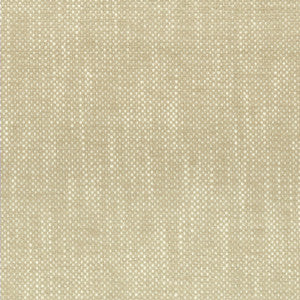 Panic 1 Champagne by Stout Fabric