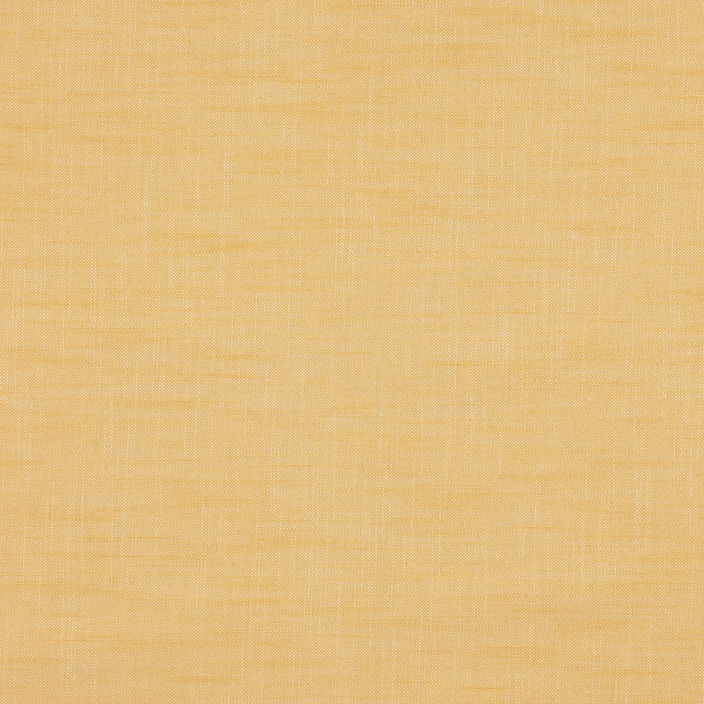 Paparazzi 16J7301 by JF Fabric Winning Windows II -Wide Width Dim,Blackout Book 52% Cotton, 48% Polyester India 50000 Horizontal: and Vertical: 118 - Fabric Carolina -