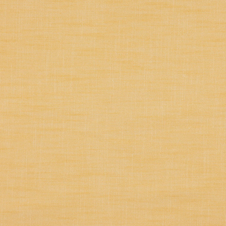 PAPARAZZI 16J7301 by JF Designer Fabric Winning Windows II -Wide Width Dim,Blackout Book 52% Cotton, 48% Polyester India  Horizontal:  and Vertical:  118  - Swanky Fabrics -