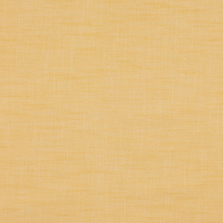 Paparazzi 16J7301 by JF Fabric Winning Windows II -Wide Width Dim,Blackout Book 52% Cotton, 48% Polyester India 50000 Horizontal: and Vertical: 118 - Fabric Carolina -