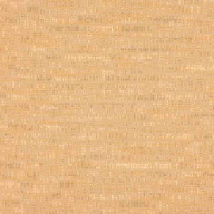 PAPARAZZI 19J7301 by JF Fabric Winning Windows II -Wide Width Dim,Blackout Book 52% Cotton, 48% Polyester India Horizontal: and Vertical: 118 - Fabric Carolina -