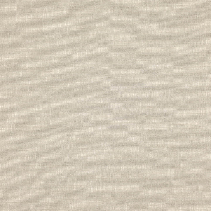 PAPARAZZI 72J7301 by JF Designer Fabric Winning Windows II -Wide Width Dim,Blackout Book 52% Cotton, 48% Polyester India  Horizontal:  and Vertical:  118  - Swanky Fabrics -