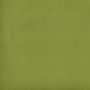 Parma Leaf 280 by Norbar Fabric PARMA 100% COTTON USA 54 - Fabric Carolina -