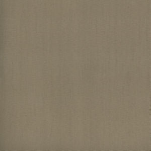 Parma Malibu Beige 110 by Norbar Fabric PARMA 100% COTTON USA 30,000 WYZENBEEK </p><p>Repeat: 54 - Fabric Carolina -