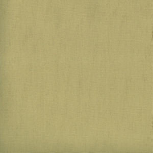 Parma Willow 216 by Norbar Designer Fabric PARMA 100% COTTON USA 54 - Swanky Fabrics -
