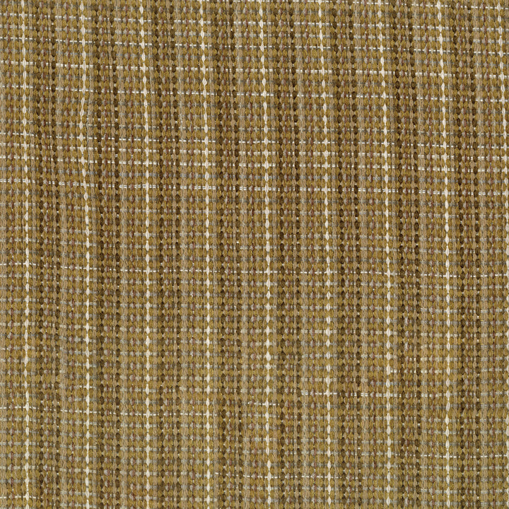 Parody 805 Carmel by ABBEYSHEA Fabric 95.5% Polyester
1% Cotton
3.5% Rayon CN 40,000 Double Rubs (Wyzenbeek) </p><p>Repeat: Horizontal: and Vertical: 54 in. (137 cm) - Fabric Carolina -