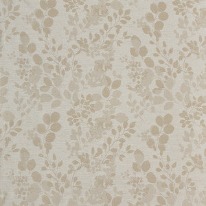 Pasadena B Eggshell by Europatex Fabric