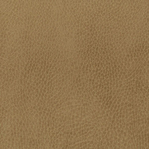 Passenger 2 Cork by Stout Fabric