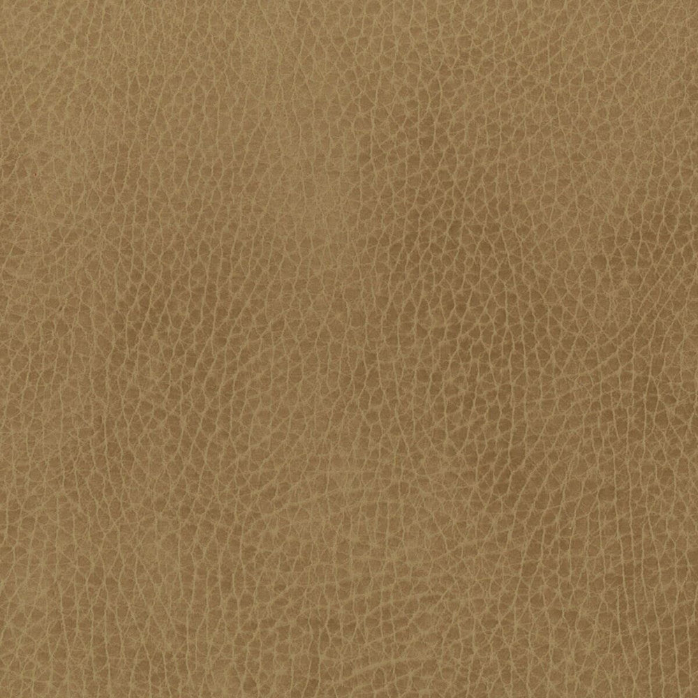 Passenger 2 Cork by Stout Fabric LEATHER LOOKS II 100%OTH 9%OTH CHINA FLAME RETARDANT-U.F.A.C. CLASS 1 FLAME RETARDANT-N.F.P.A. 260A CLASS 1 CATB 117-2013 WYZENBEEK 100 000 DOUBLE RUB WEAR TEST (HEAVY DUTY) Horizontal: 0 and Vertical: 0 54 in - Fabric Carolina -
