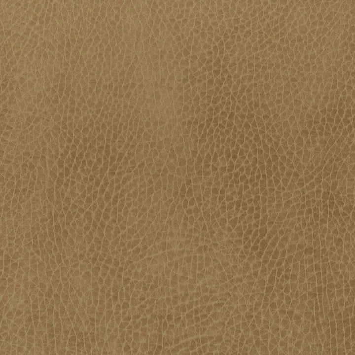 Passenger 2 Cork by Stout Fabric LEATHER LOOKS II 100%OTH 9%OTH CHINA FLAME RETARDANT-U.F.A.C. CLASS 1 FLAME RETARDANT-N.F.P.A. 260A CLASS 1 CATB 117-2013 WYZENBEEK 100 000 DOUBLE RUB WEAR TEST (HEAVY DUTY) Horizontal: 0 and Vertical: 0 54 in - Fabric Carolina -