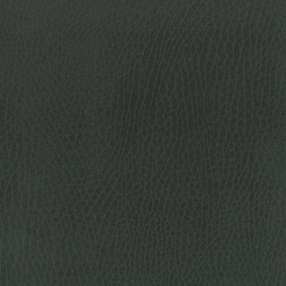 Passenger 4 Steel by Stout Fabric Leather Looks Ii 100% Other 9% Other CHINA FLAME RETARDANT-U.F.A.C. CLASS 1 (OR A) FLAME RETARDANT-N.F.P.A. 260A CLASS 1 CATB 117-2013 WYZENBEEK 100 000 DOUBLE RUB WEAR TEST (HEAVY DUTY) Horizontal: 0 and Vertical: 0 54 in - Fabric Carolina -