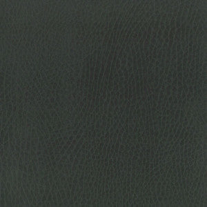 Passenger 4 Steel by Stout Fabric