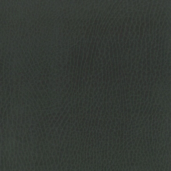 Passenger 4 Steel by Stout Fabric LEATHER LOOKS II 100%OTH 9%OTH CHINA FLAME RETARDANT-U.F.A.C. CLASS 1 FLAME RETARDANT-N.F.P.A. 260A CLASS 1 CATB 117-2013 WYZENBEEK 100 000 DOUBLE RUB WEAR TEST (HEAVY DUTY) Horizontal: 0 and Vertical: 0 54 in - Fabric Carolina -
