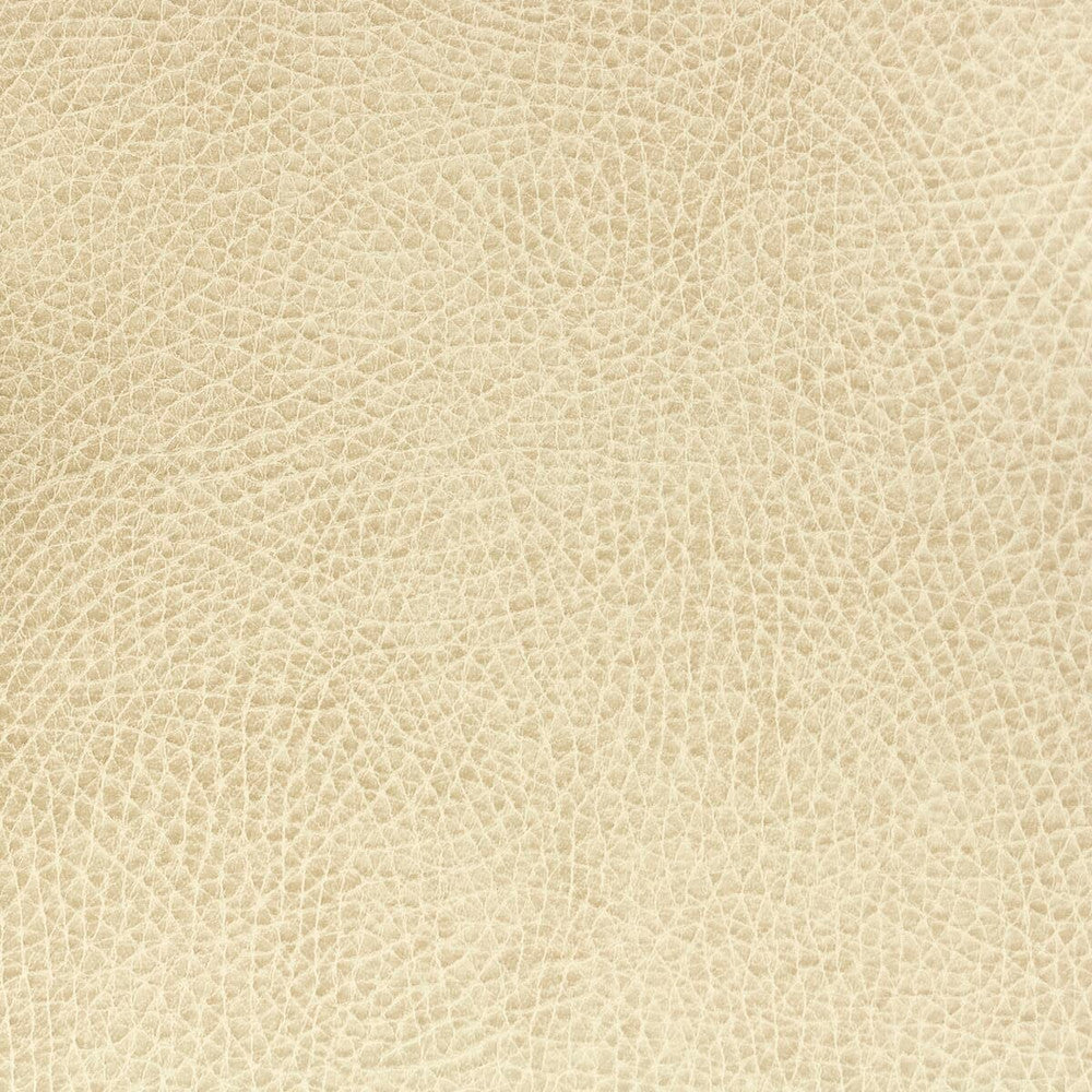 Passenger 5 Biscuit by Stout Fabric LEATHER LOOKS II 100%OTH 9%OTH CHINA FLAME RETARDANT-U.F.A.C. CLASS 1 FLAME RETARDANT-N.F.P.A. 260A CLASS 1 CATB 117-2013 WYZENBEEK 100 000 DOUBLE RUB WEAR TEST (HEAVY DUTY) Horizontal: 0 and Vertical: 0 54 in - Fabric Carolina -