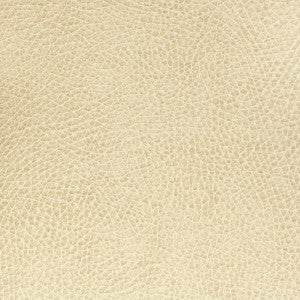 Passenger 5 Biscuit by Stout Fabric