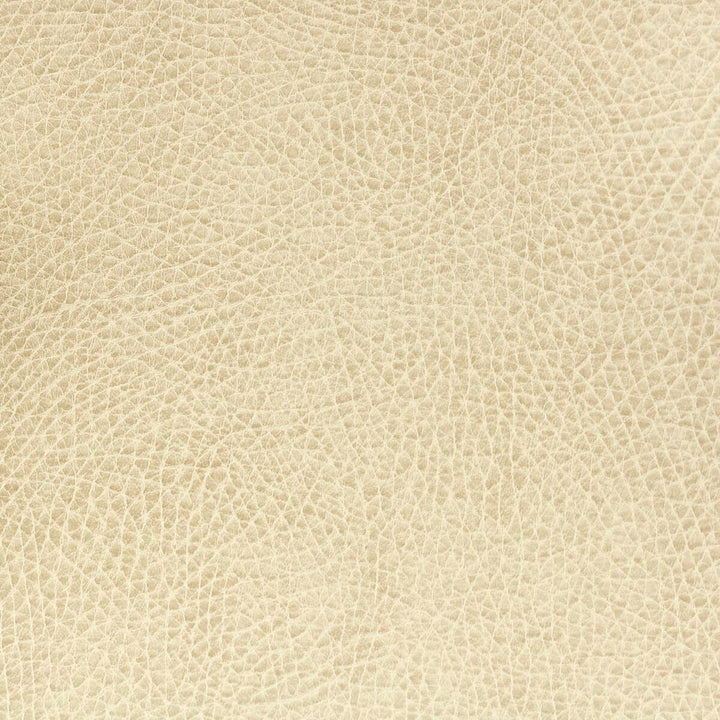 Passenger 5 Biscuit by Stout Fabric LEATHER LOOKS II 100%OTH 9%OTH CHINA FLAME RETARDANT-U.F.A.C. CLASS 1 FLAME RETARDANT-N.F.P.A. 260A CLASS 1 CATB 117-2013 WYZENBEEK 100 000 DOUBLE RUB WEAR TEST (HEAVY DUTY) </p><p>Repeat: 0 54 in - Fabric Carolina -
