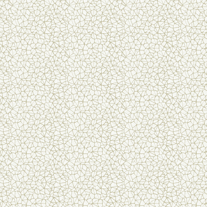 Patina 2W7781 by JF Fabric ARRIS 46% Cotton, 36% Polyester, 18% Viscose Italy 20000 Horizontal: 14 and Vertical: 12.75 55 - Fabric Carolina -
