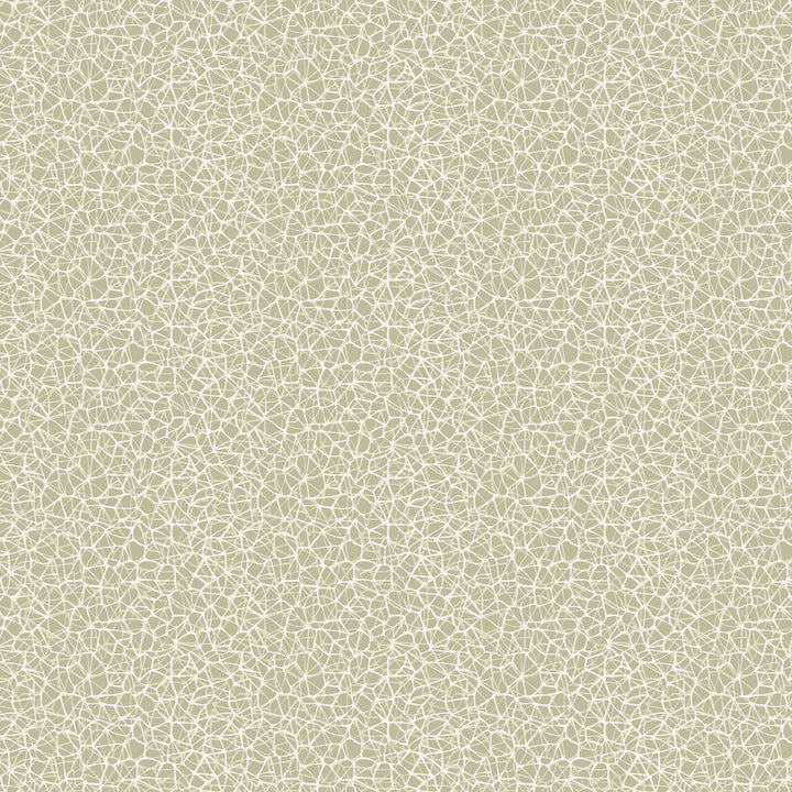 Patina 3W7781 by JF Fabric ARRIS 46% Cotton, 36% Polyester, 18% Viscose Italy 20000 Horizontal: 14 and Vertical: 12.75 55 - Fabric Carolina -