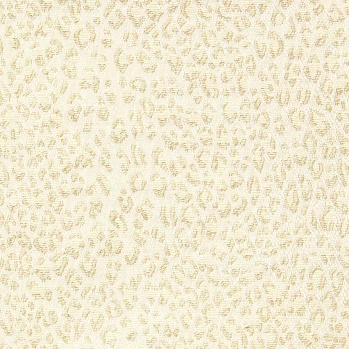 Patou 1 Vanilla by Stout Fabric Rainbow Library Pearl/Parchment 64% Polyester 36% Spun Viscose USA FLAME RETARDANT-U.F.A.C. CLASS 1 (OR A) CATB 117-2013 WYZENBEEK 36 000 DOUBLE RUB WEAR TEST (HEAVY DUTY) Horizontal: 7 and Vertical: 6.75 54 in - Fabric Carolina -