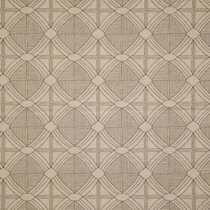 Piranesi # 223 Wool by Maxwell Fabric