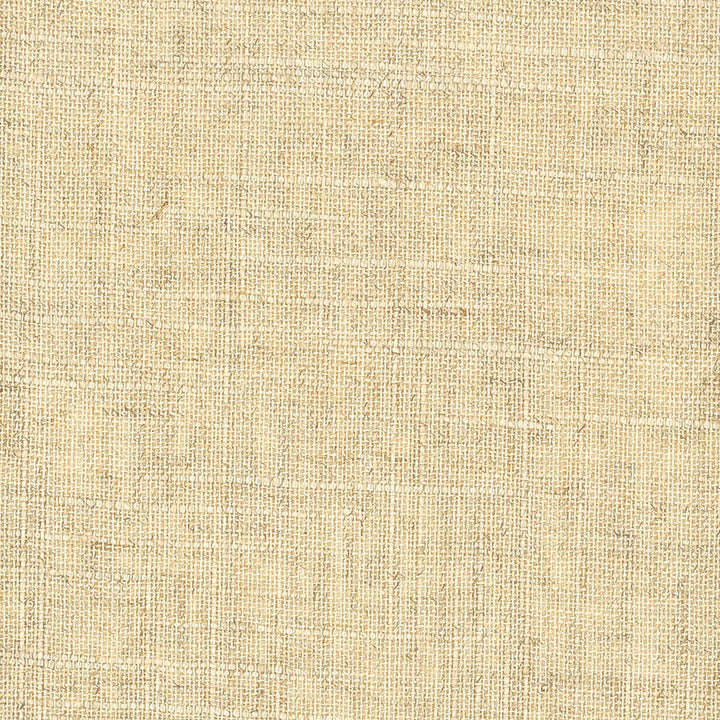 Pavlova 1 Desert by Stout Fabric THE NATURALS II 55%LIN 45%SVI CHINA Horizontal: 0 and Vertical: 0 56 in - Fabric Carolina -