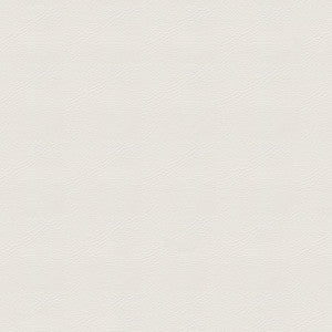 Pegasus 1613 Brilliant White by Softside Fabric