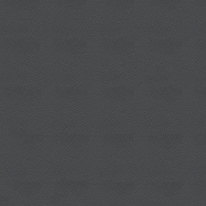 Pegasus 1614 Gunmetal by Softside Fabric