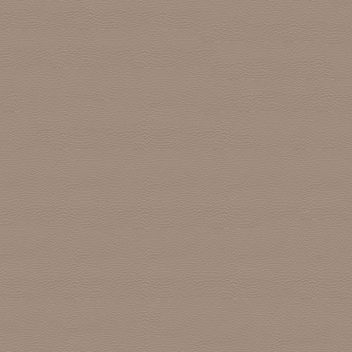 Pegasus 1616 Sand Dollar by Softside Fabric 100% Polyvinyl Chloride (PVC) Columbia 50,000 Double Rubs (Wyzenbeek) </p><p>Repeat: Horizontal: and Vertical: 54" (137 cm) - Fabric Carolina -