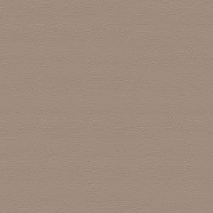 Pegasus 1616 Sand Dollar by Softside Fabric