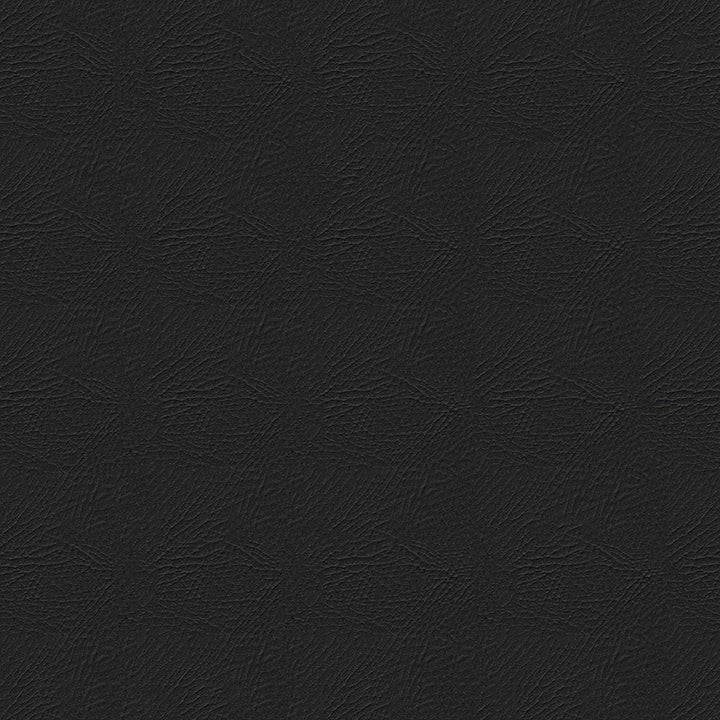 Pegasus 1618 Ebony by Softside Fabric 100% Polyvinyl Chloride (PVC) Columbia 50,000 Double Rubs (Wyzenbeek) </p><p>Repeat: Horizontal: and Vertical: 54" (137 cm) - Fabric Carolina -
