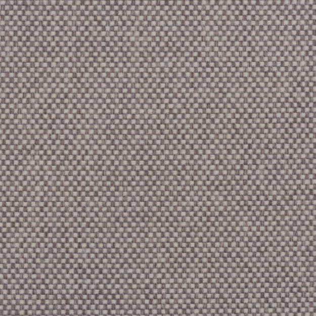 PEGASUS 33J5361 by JF Fabric WINNING WEAVES 100% Polyester TURKEY ABRASIO (HEAVY DUTY- 30,000+ DOUBLE RUBS) Horizontal: N/A and Vertical: N/A 55.00 - Fabric Carolina -