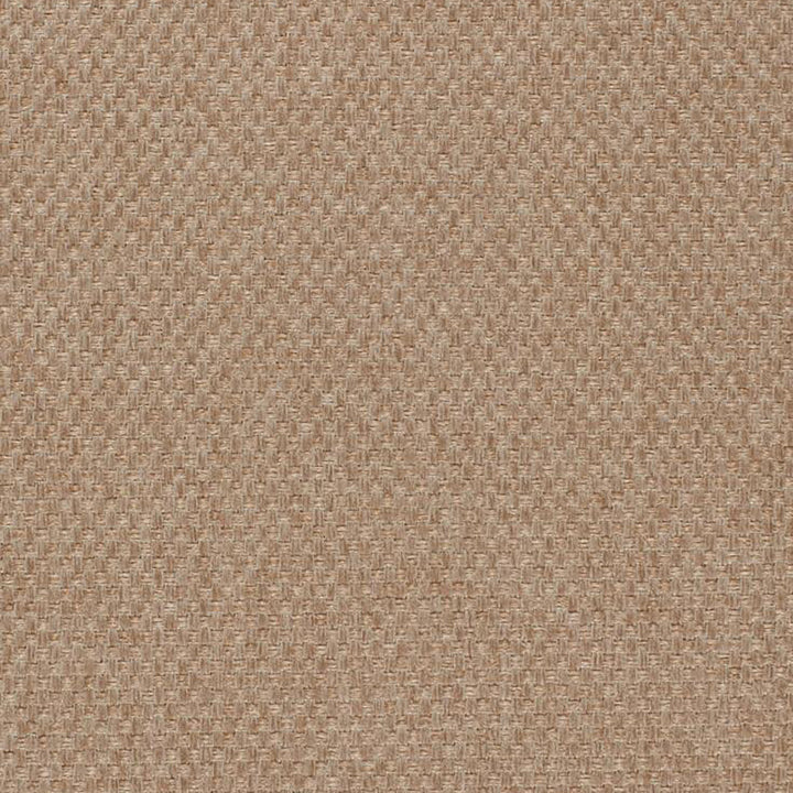 Pegasus 34J5361 by JF Fabric WINNING WEAVES 100% Polyester Turkey 75000 Horizontal: and Vertical: 55 - Fabric Carolina -