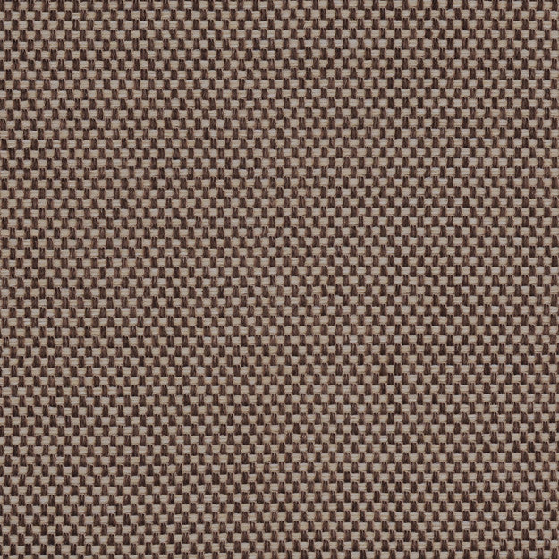 PEGASUS 35J5361 by JF Fabric WINNING WEAVES 100% Polyester TURKEY ABRASIO (HEAVY DUTY- 30,000+ DOUBLE RUBS) Horizontal: N/A and Vertical: N/A 55.00 - Fabric Carolina -