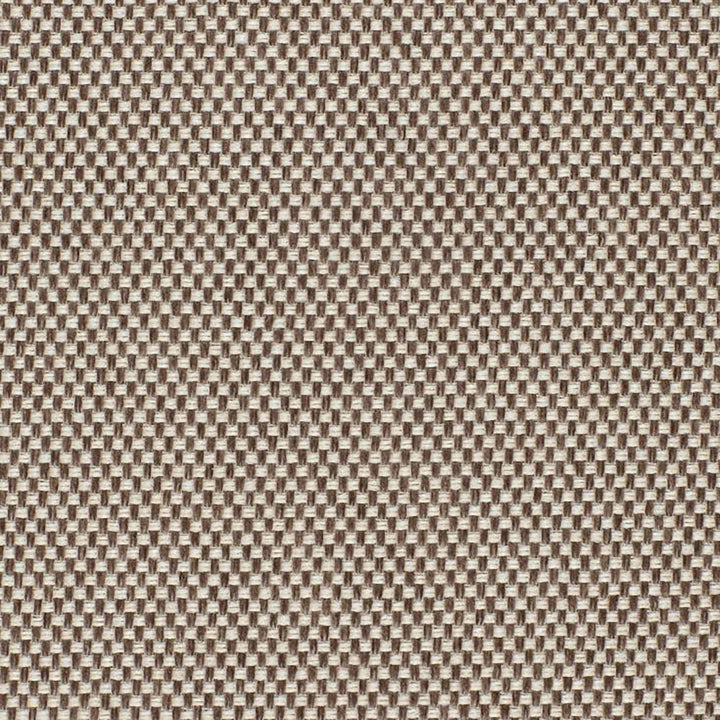 Pegasus 35J5361 by JF Fabric WINNING WEAVES 100% Polyester Turkey 75000 Horizontal: and Vertical: 55 - Fabric Carolina -