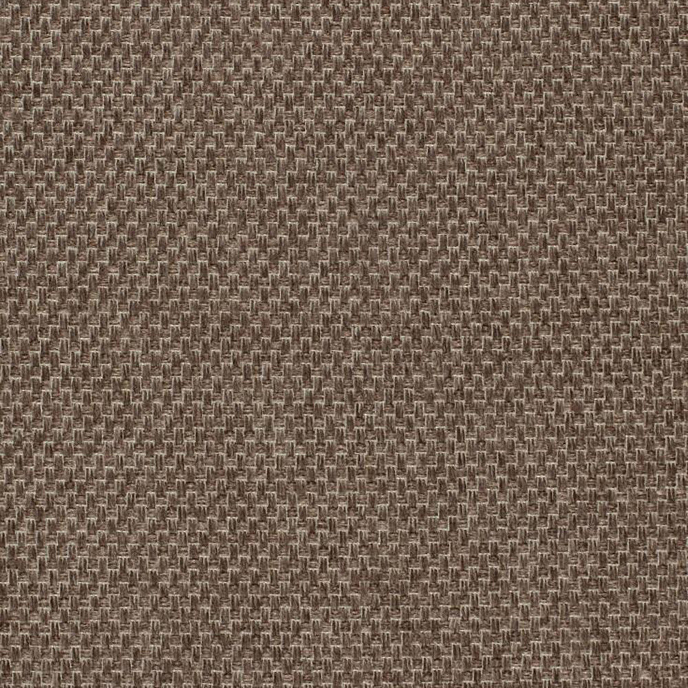 Pegasus 36J5361 by JF Fabric WINNING WEAVES 100% Polyester Turkey 75000 Horizontal: and Vertical: 55 - Fabric Carolina -