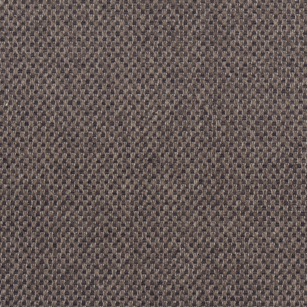 PEGASUS 37J5361 by JF Fabric WINNING WEAVES 100% Polyester TURKEY ABRASIO (HEAVY DUTY- 30,000+ DOUBLE RUBS) Horizontal: N/A and Vertical: N/A 55.00 - Fabric Carolina -