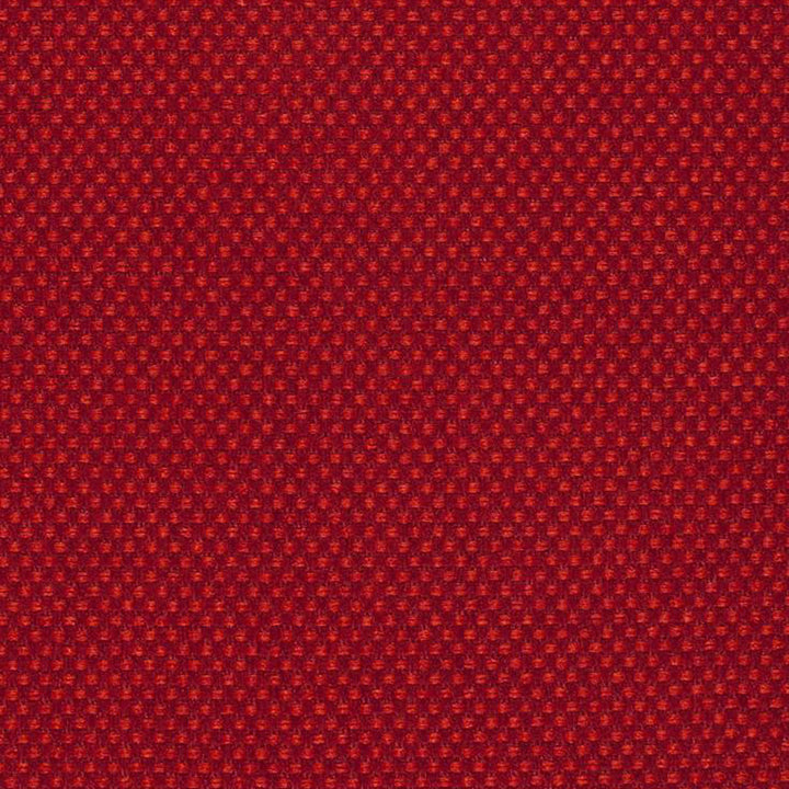 Pegasus 44J5361 by JF Fabric WINNING WEAVES 100% Polyester Turkey 75000 Horizontal: and Vertical: 55 - Fabric Carolina -