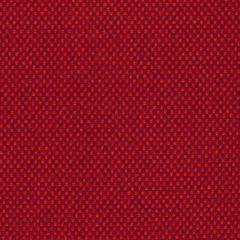 Pegasus 44J5361 by JF Fabric WINNING WEAVES 100% Polyester Turkey 75000 Horizontal: and Vertical: 55 - Fabric Carolina -