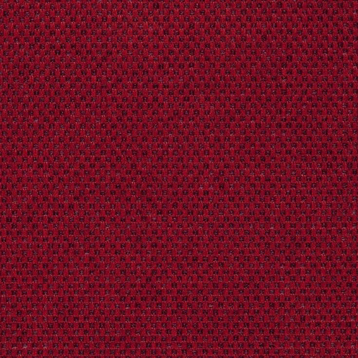 Pegasus 46J5361 by JF Fabric WINNING WEAVES 100% Polyester Turkey 75000 Horizontal: and Vertical: 55 - Fabric Carolina -