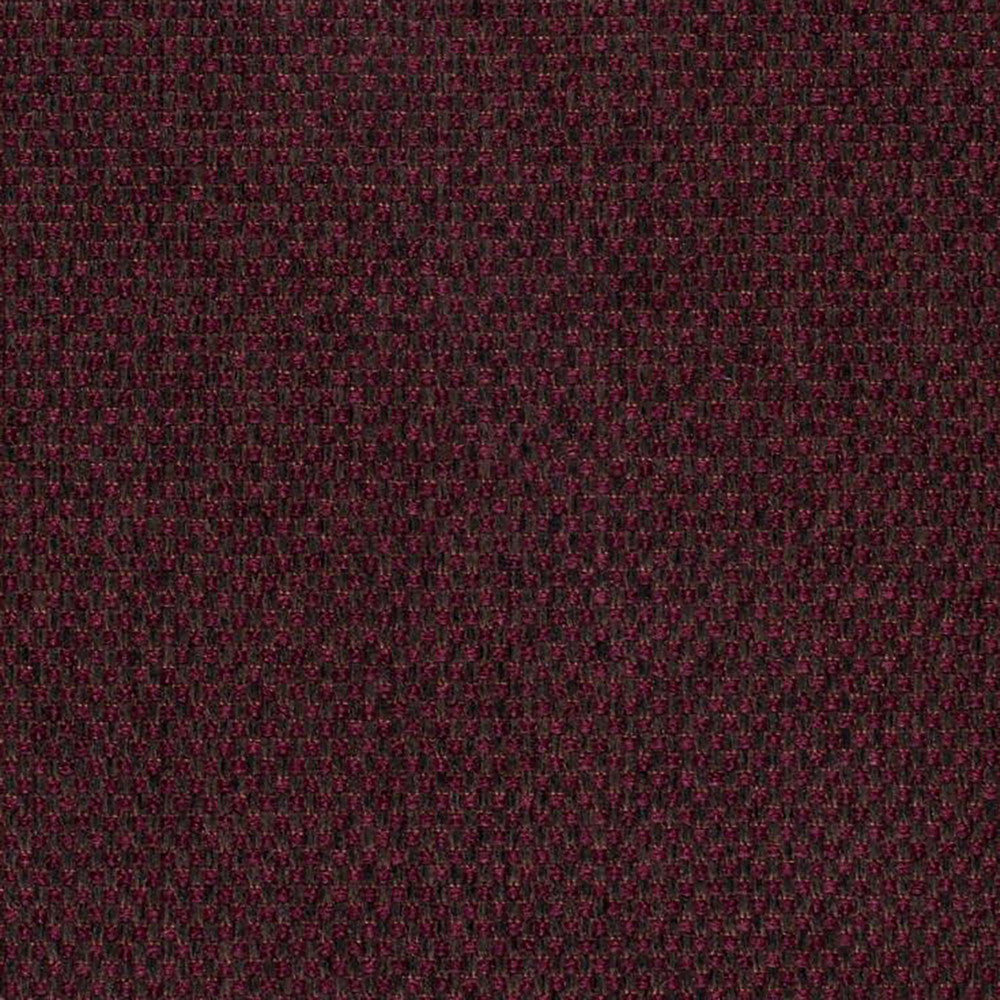 Pegasus 59J5361 by JF Fabric WINNING WEAVES 100% Polyester Turkey 75000 Horizontal: and Vertical: 55 - Fabric Carolina -