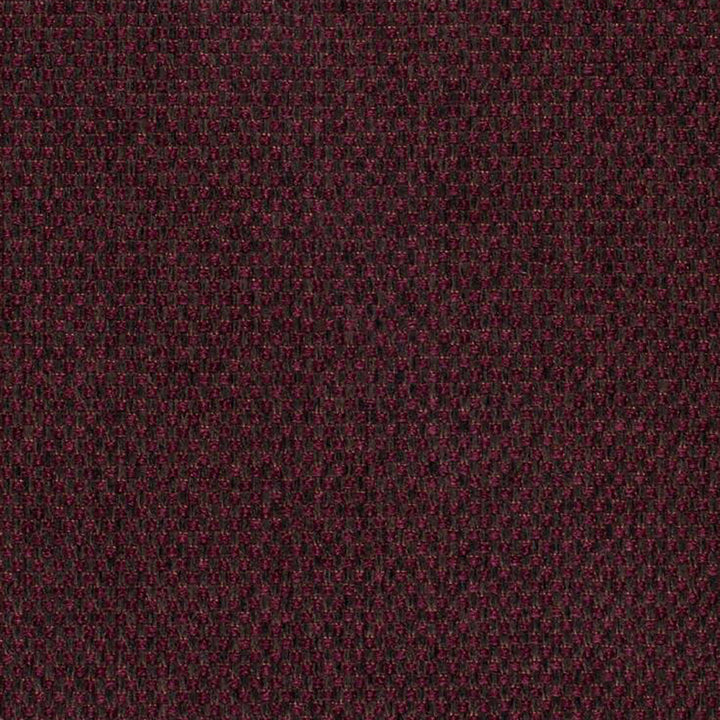 Pegasus 59J5361 by JF Fabric WINNING WEAVES 100% Polyester Turkey 75000 Horizontal: and Vertical: 55 - Fabric Carolina -
