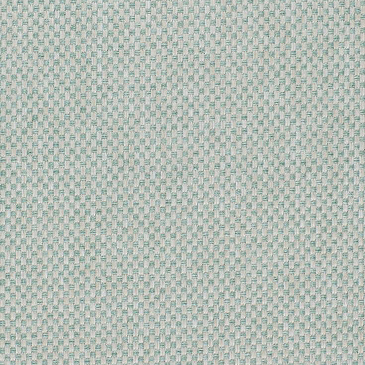 Pegasus 62J5361 by JF Fabric WINNING WEAVES 100% Polyester Turkey 75000 Horizontal: and Vertical: 55 - Fabric Carolina -