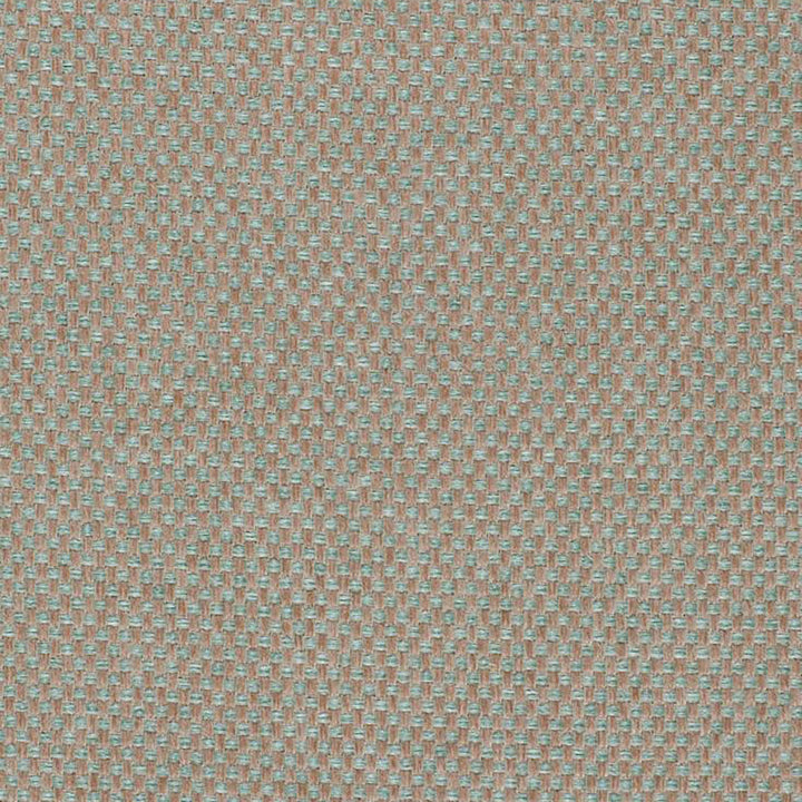 Pegasus 63J5361 by JF Fabric WINNING WEAVES 100% Polyester Turkey 75000 Horizontal: and Vertical: 55 - Fabric Carolina -