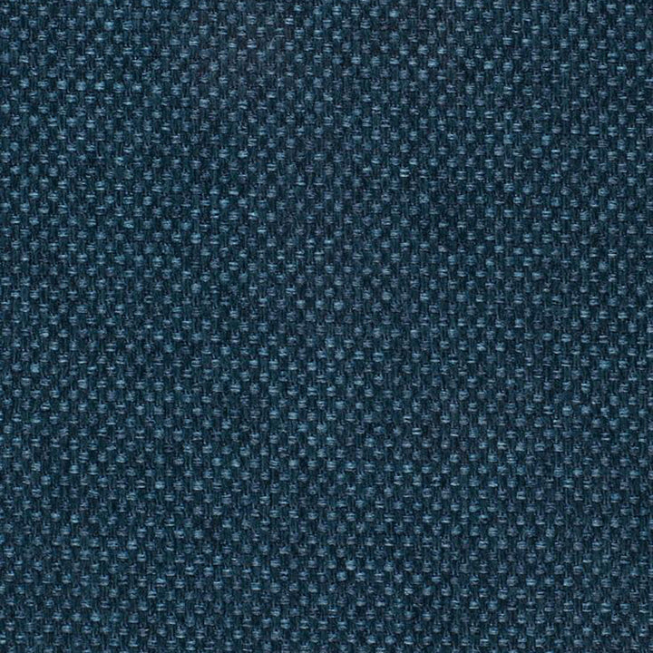 Pegasus 69J5361 by JF Fabric WINNING WEAVES 100% Polyester Turkey 75000 Horizontal: and Vertical: 55 - Fabric Carolina -