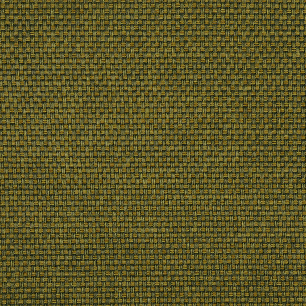 PEGASUS 75J5361 by JF Fabric WINNING WEAVES 100% Polyester TURKEY ABRASIO (HEAVY DUTY- 30,000+ DOUBLE RUBS) Horizontal: N/A and Vertical: N/A 55.00 - Fabric Carolina -