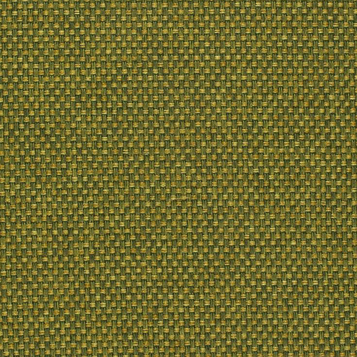 Pegasus 75J5361 by JF Fabric WINNING WEAVES 100% Polyester Turkey 75000 Horizontal: and Vertical: 55 - Fabric Carolina -