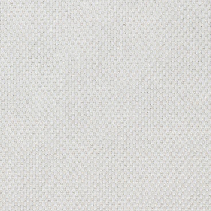 Pegasus 92J5361 by JF Fabric WINNING WEAVES 100% Polyester Turkey 75000 Horizontal: and Vertical: 55 - Fabric Carolina -